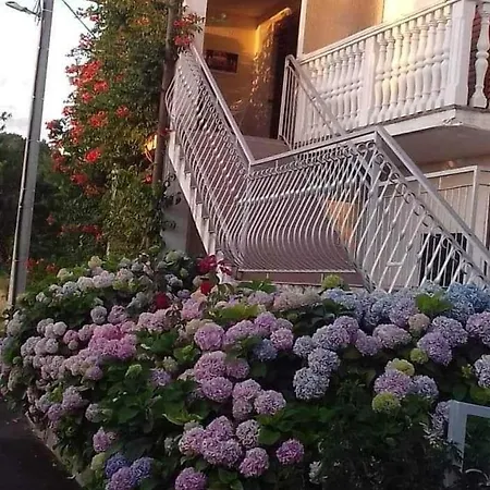 Appartement 14681b *